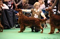 Crufts2011_2 021